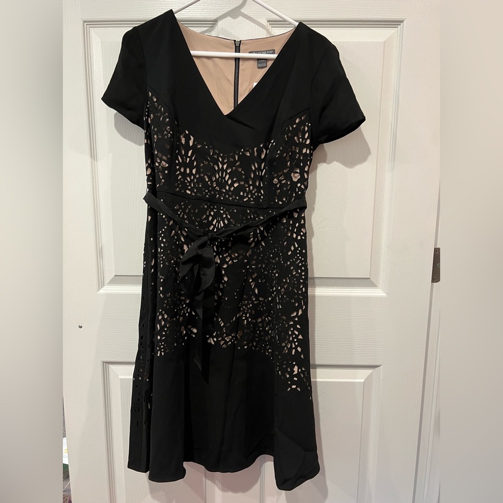 NWT - Pea in the Pod maternity dress - L